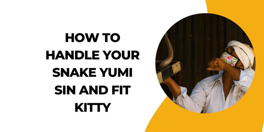 how to handle his snake yumi sin and fit kitty